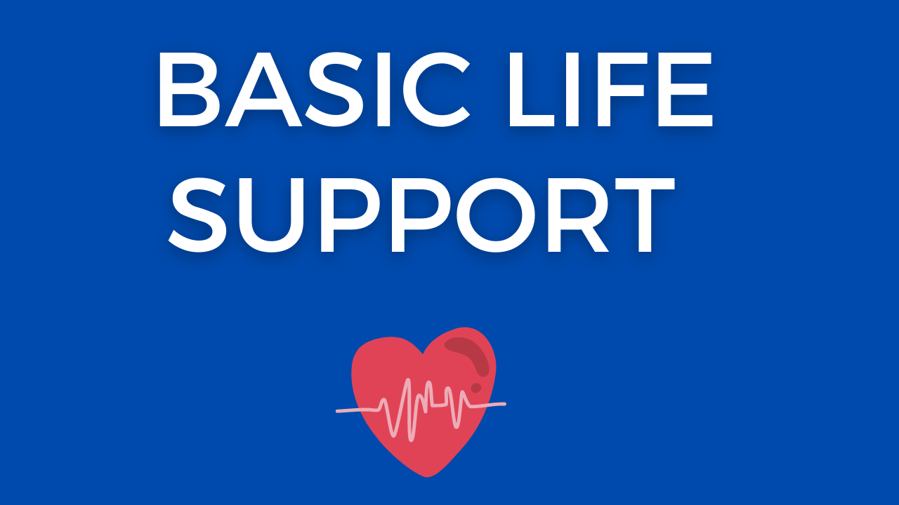 Basic Life Support (BLS)